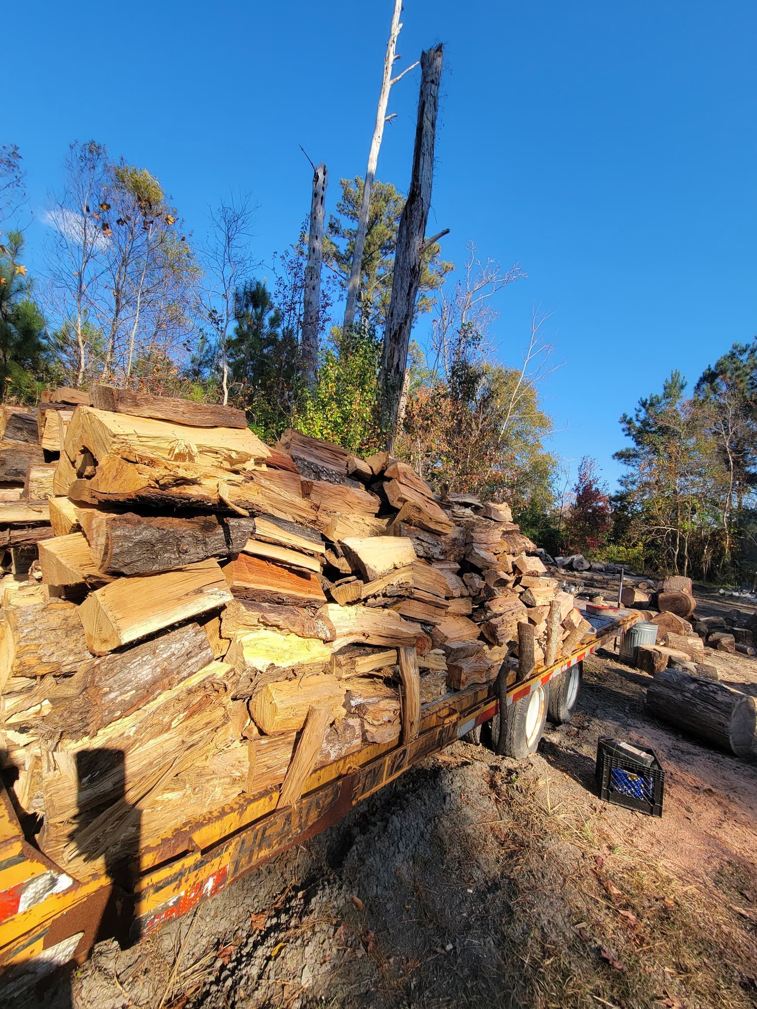 Bundled seasoned firewood available from Tree Masters